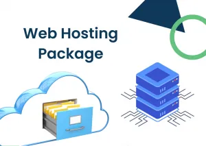 Monthly Web Hosting and Maintenance Package